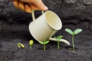 shutterstock_186735257